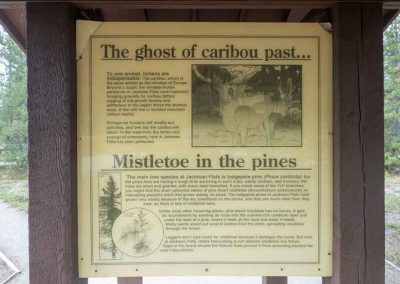 Jackman Flats Info Board