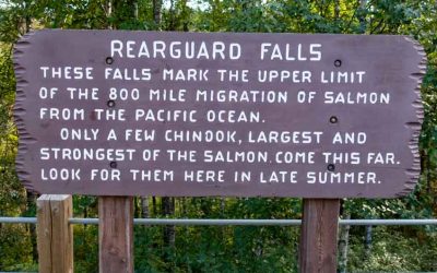 Rearguard Falls