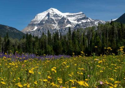 Mount Robson - Photo Explorejasper