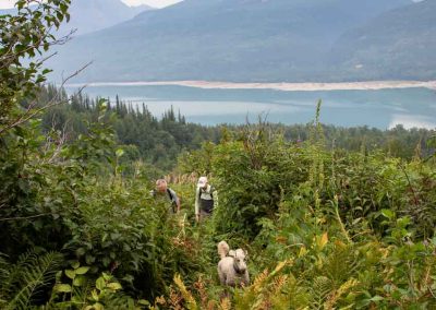 Hiking Trail Aloha (Little Hawaii)