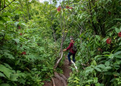 Hiking Trail Aloha (Little Hawaii)